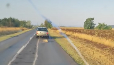 Elk&eacute;pesztő brutal&iacute;t&aacute;s: 95 km/&oacute;ra sebess&eacute;ggel h&uacute;zott egy aut&oacute;s egy kuty&aacute;t az &uacute;ton