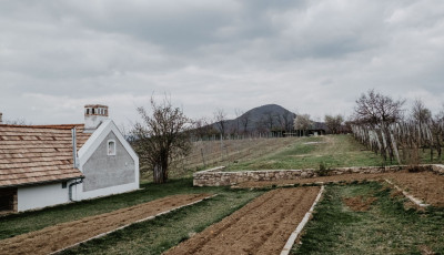 Kihirdett&eacute;k Magyarorsz&aacute;g Legszebb Szőlőbirtokait - Itt a 2025-&ouml;s győztesek list&aacute;ja
