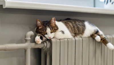 A nagy hideg miatt janu&aacute;rban nem kapcsolja ki az MVM az &aacute;ramot &eacute;s a g&aacute;zt