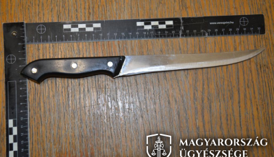 Zavarta a h&aacute;za előtt telefon&aacute;l&oacute; ez&eacute;rt előbb cs&uacute;zlival l&ouml;v&ouml;ld&ouml;zte, majd mellbe sz&uacute;rta egy konyhak&eacute;ssel