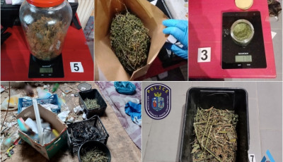 Nem tudott leszokni, ink&aacute;bb otthon termesztette a marihu&aacute;n&aacute;t a soltvadkerti f&eacute;rfi