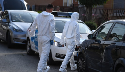 Lesből t&aacute;madt volt p&aacute;rj&aacute;ra &eacute;s annak fi&aacute;ra - Hal&aacute;los k&eacute;sel&eacute;s t&ouml;rt&eacute;nt B&aacute;csalm&aacute;son