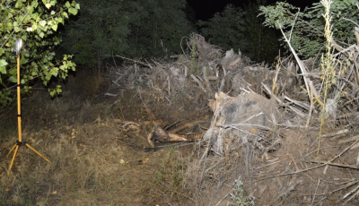 A l&aacute;tsz&oacute;lagos utaz&aacute;s m&ouml;g&ouml;tt gyilkoss&aacute;g &aacute;llt - A p&aacute;rja veje &ouml;lte meg