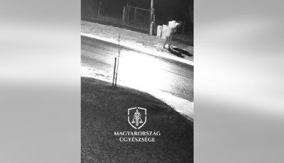 Fest&eacute;ksz&oacute;r&oacute;val f&uacute;jt le egy kecskem&eacute;ti traffipaxot