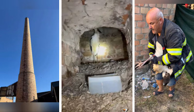 Dr&aacute;ma a gy&aacute;rk&eacute;m&eacute;nyben: g&oacute;ly&aacute;t mentett a kecskem&eacute;ti daruteny&eacute;sztő!