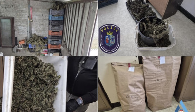 Plafonig pakolta a f&uuml;vet: &iacute;gy bukott le a kecskem&eacute;ti d&iacute;ler