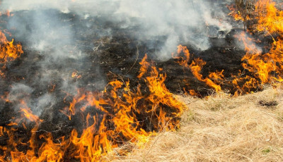 Gabona, tarl&oacute; &eacute;s boz&oacute;tos &eacute;gett Miske &eacute;s Haj&oacute;s k&ouml;z&ouml;tt