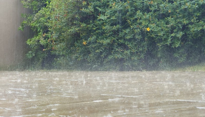 T&ouml;bb eső esett a napokban, mint eg&eacute;sz j&uacute;niusban