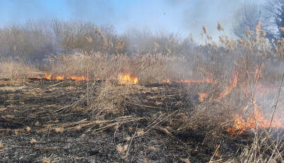 Csatornaparton csaptak fel a l&aacute;ngok Akaszt&oacute; k&uuml;lter&uuml;let&eacute;n
