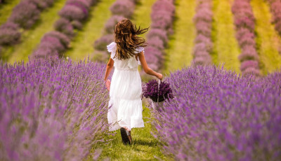 Itt a v&aacute;rva v&aacute;rt levendulasz&uuml;ret - H&eacute;tv&eacute;g&eacute;n sz&uuml;retre v&aacute;rnak mindenkit a Kőr&ouml;shegyi Levendul&aacute;sban