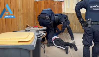 Rollerrel terjesztette a f&uuml;vet a bajai d&iacute;ler - Vide&oacute;n az elfog&aacute;sa