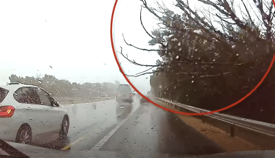 Fa zuhant egy aut&oacute;ra az M7-esen - VIDE&Oacute;
