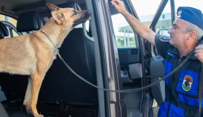 S&uuml;ti első fog&aacute;sa: a gyulai rendőrkutya drogd&iacute;lert buktatott le