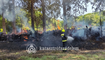 Farak&aacute;s &eacute;gett F&uuml;l&ouml;psz&aacute;ll&aacute;son &eacute;s 4 hekt&aacute;ron a tarl&oacute; Orgov&aacute;nyn&aacute;l