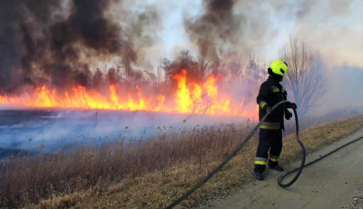 Tarl&oacute; &eacute;gett P&aacute;lmonostora k&uuml;lter&uuml;let&eacute;n &eacute;s Dunatet&eacute;tlen t&eacute;rs&eacute;g&eacute;ben is