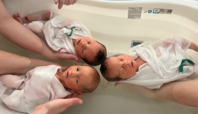 &Uacute;jabb h&aacute;rmas ikreknek adott &eacute;letet egy &eacute;desanya Kecskem&eacute;ten