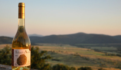 Asz&uacute;spricc, avagy eretneks&eacute;g j&eacute;gkock&aacute;val