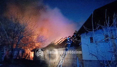 Diszn&oacute;&oacute;l &eacute;gett M&aacute;t&eacute;telke hat&aacute;r&aacute;ban