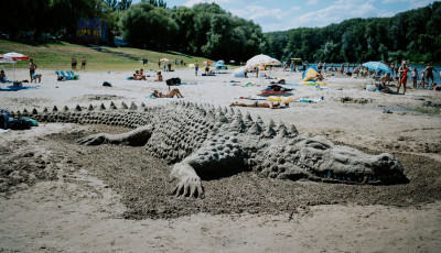 &Oacute;ri&aacute;si homokkrokodilt k&eacute;sz&iacute;tettek az egyik hazai strandon