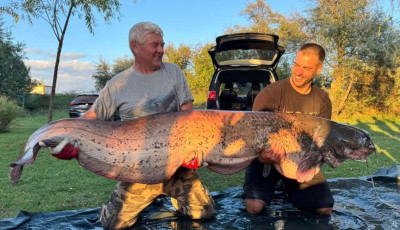 Gigaharcs&aacute;t fogtak a Csaba-t&oacute;b&oacute;l: 2,16 m&eacute;ter, 70 kil&oacute;