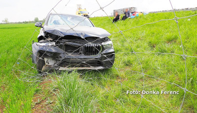 &Aacute;tszak&iacute;totta a vadker&iacute;t&eacute;st egy szem&eacute;lyaut&oacute; az M5-&ouml;s aut&oacute;p&aacute;ly&aacute;n