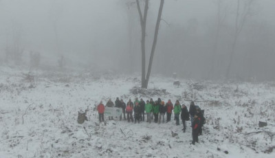 Őshonos erdők tűnnek el Magyarorsz&aacute;gon, mik&ouml;zben a kiv&aacute;gott fa nagy r&eacute;sze k&aacute;rba v&eacute;sz