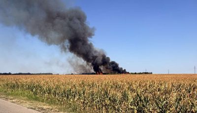 Fenyőerdő &eacute;s szőlő&uuml;ltetv&eacute;ny &eacute;gett Baja k&uuml;lter&uuml;let&eacute;n