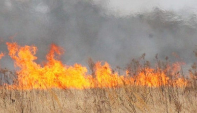 M&aacute;sf&eacute;l hekt&aacute;ron &eacute;gett a gabona Solt k&uuml;lter&uuml;let&eacute;n