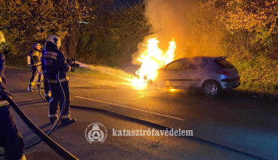 Szem&eacute;lyaut&oacute; &eacute;gett Izs&aacute;k &eacute;s Orgov&aacute;ny k&ouml;z&ouml;tt