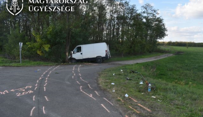 Megijedtek a rendőri igazoltat&aacute;st&oacute;l, f&aacute;nak hajtott a fiatalkor&uacute;