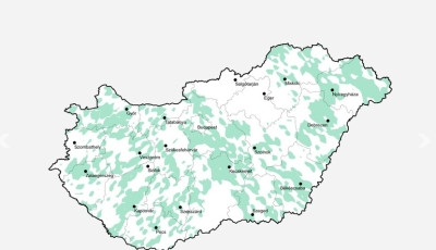 Allergi&aacute;sok, rossz h&iacute;r&uuml;nk van: indul a parlagfűszezon